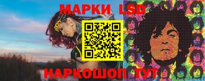 apvp Тверь