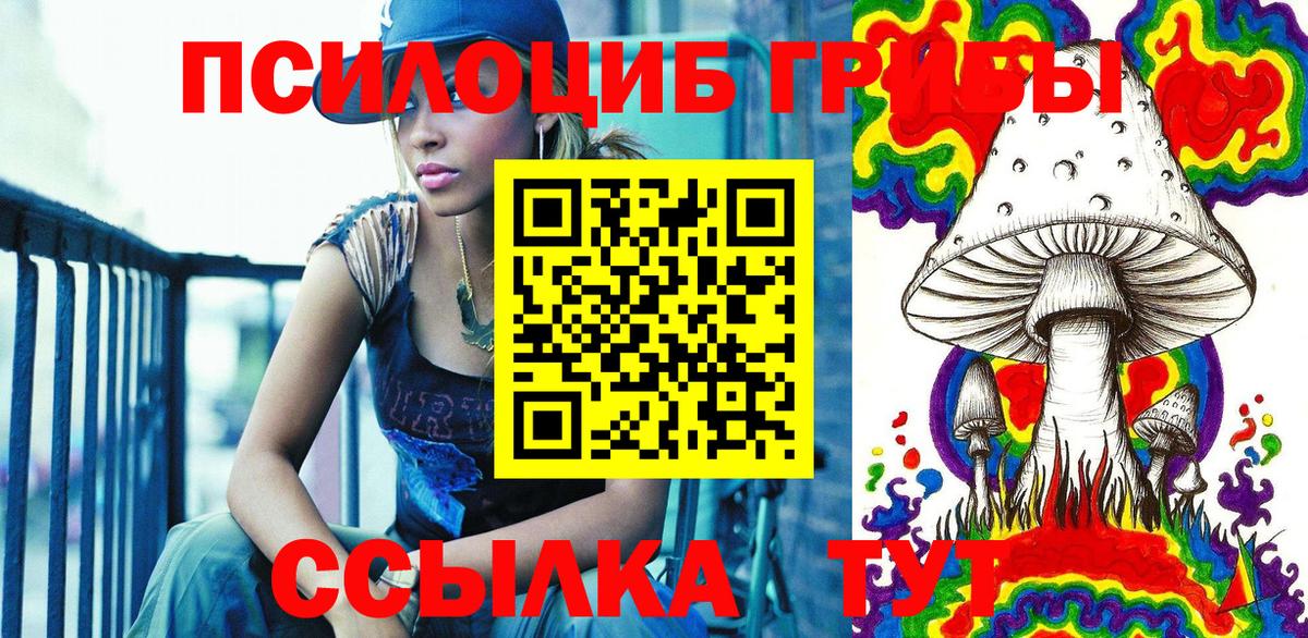 Моздок  Псилоцибиновые грибы Psilocybine cubensis  Вход с VPN 